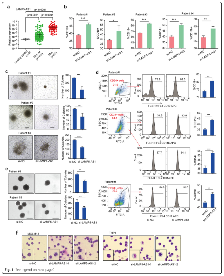 RNA pull down MS結合蛋白鑒定-客戶文獻-輝駿生物.png