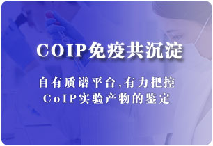 Co-IP免疫共沉淀