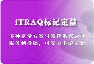 iTRAQ標記定量