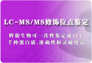 LC-MS/MS修飾位點(diǎn)鑒定