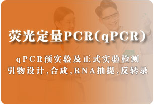 熒光定量PCR (qPCR)