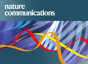 「輝駿客戶文章」Nature Communications| 中科院團隊新成果揭示乙肝病毒與肝癌關系的新機制