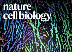 「輝駿客戶文章」Nature Cell Biology| 質譜檢測技術助力體細胞重編程研究