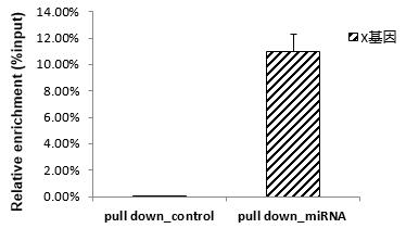 輝駿生物miRNA pull down qPCR檢測(cè)結(jié)果（陽性）