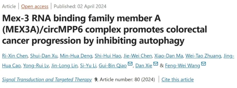 IP MS結合蛋白鑒定實驗-IF=40.8客戶高分文獻-輝駿生物蛋白質譜鑒定實驗外包